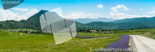 Image of Rural road in mountains