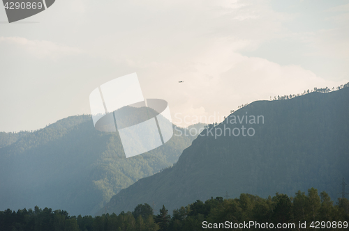 Image of Evening in mountain on river Katun