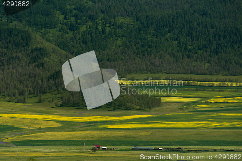 Image of Beauty colors of summer Altai