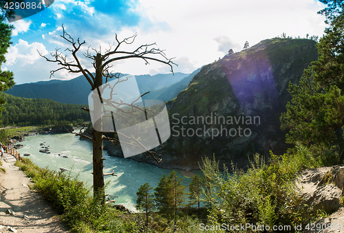 Image of Sunny day in mountain on river Katun