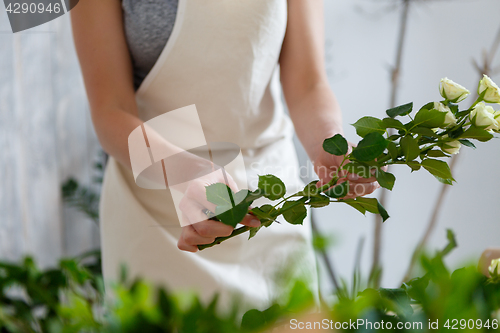 Image of Young florist woman holding flowers