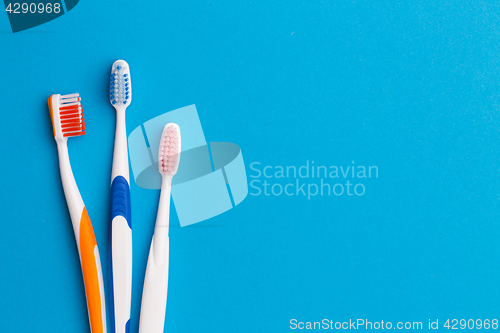 Image of Colorful toothbrushes , space for text