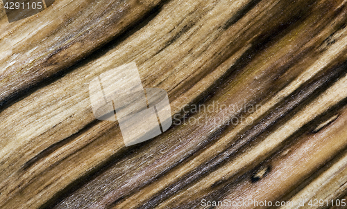 Image of Wood texture (background)