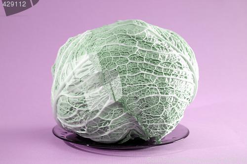 Image of Green cabbage vegetable