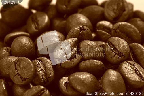 Image of Coffee beans
