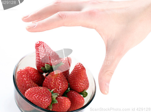 Image of Strawberry