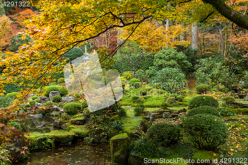 Image of Autumn Japanese temple