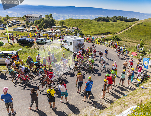 Image of The Peloton on Col du Grand Colombier - Tour de France 2016