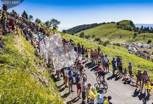 Image of The Peloton on Col du Grand Colombier - Tour de France 2016