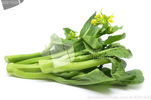 Image of Bunch of floral choy sum green vegetable