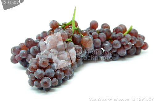 Image of Gourmet champagne grapes