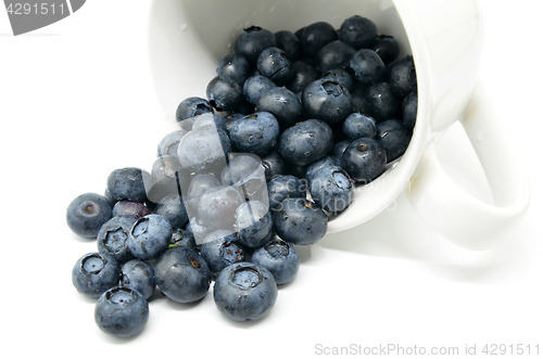 Image of Tasty blueberries isolated