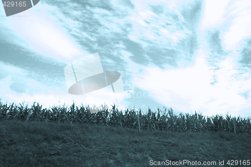 Image of Country landscape