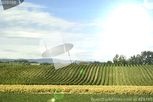 Image of Country landscape