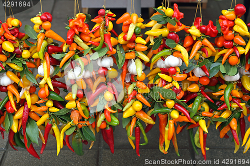 Image of Colorful Chili Peppers