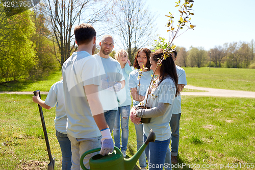 Image of group of volunteers with tree seedlings in park