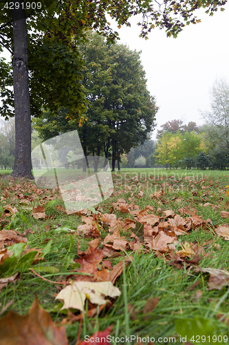 Image of autumn landscape, park