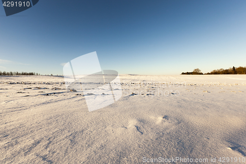 Image of landscape in winter