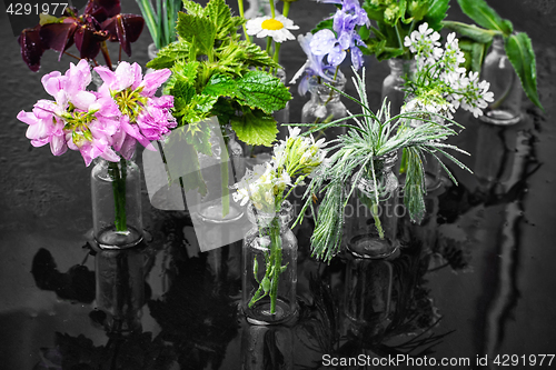 Image of herb in bottle