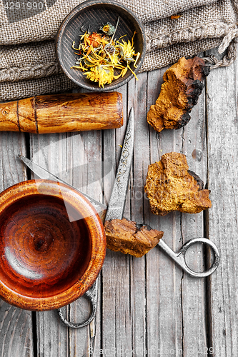 Image of herbs calendula and inonotus obliquus