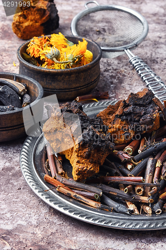 Image of Healing gathering roots and herb