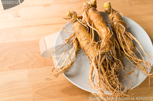 Image of Fresh Ginseng on table