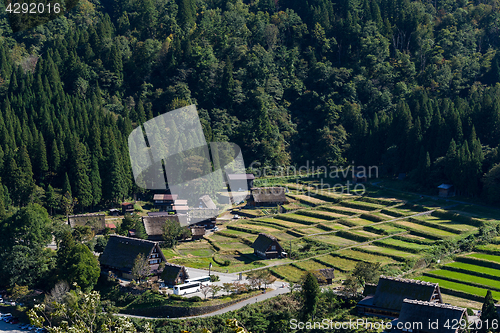 Image of Japanese Village in Shirakawa