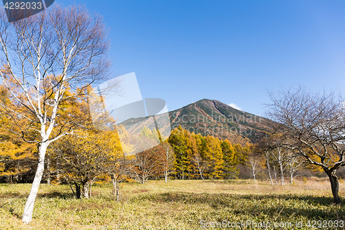 Image of Mount Nantai in autumn season