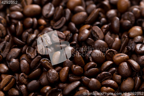 Image of Coffee bean