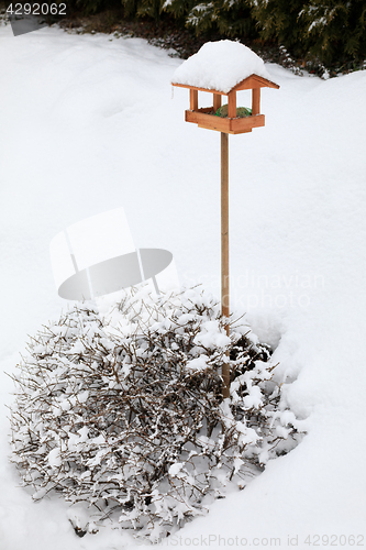 Image of simple bird feeder in winter garden