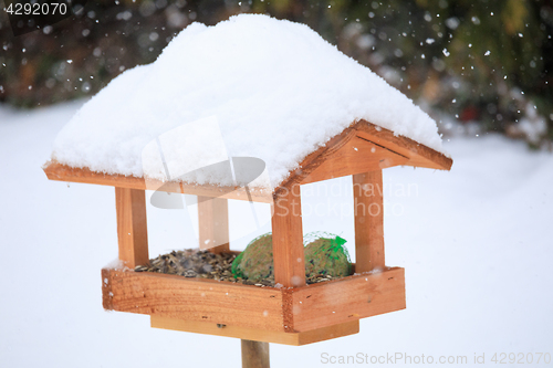 Image of simple bird feeder in winter garden