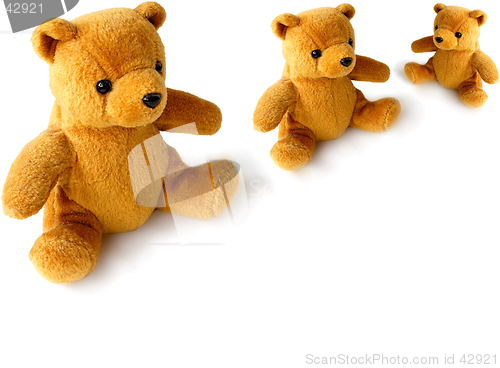 Image of teddy family