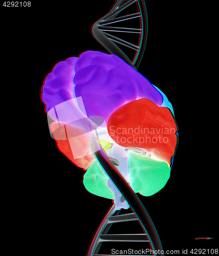 Image of Brain and dna. 3d illustration. Anaglyph. View with red/cyan gla