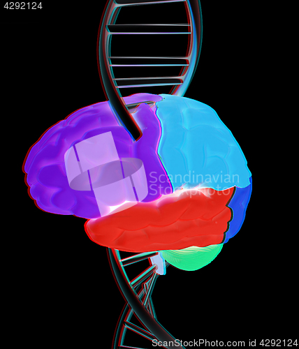 Image of Brain and dna. 3d illustration. Anaglyph. View with red/cyan gla