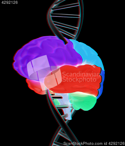 Image of Brain and dna. 3d illustration. Anaglyph. View with red/cyan gla