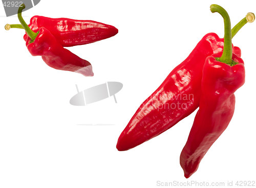 Image of chilli peppers