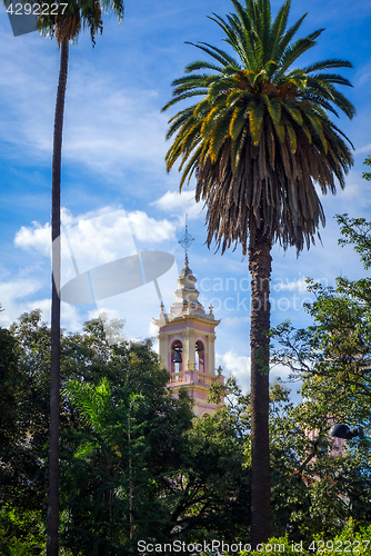 Image of Virgin cathedral, Salta, Argentina