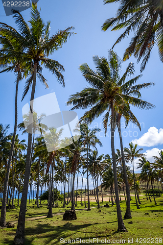 Image of Anakena palm beach and Moais statues site ahu Nao Nao, easter is