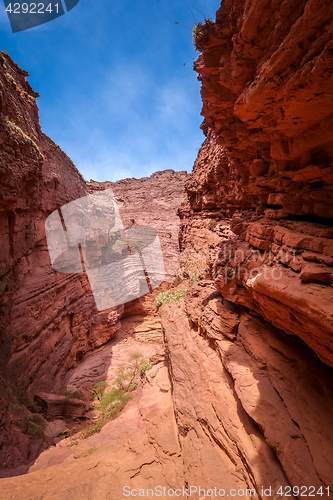 Image of Garganta del diablo in Quebrada de las Conchas, Salta, Argentina