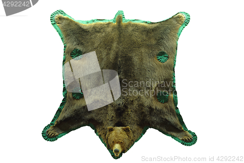 Image of brown bear isolated hunting trophy