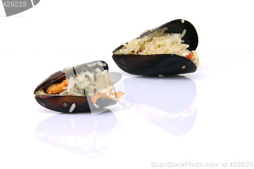 Image of two mussels