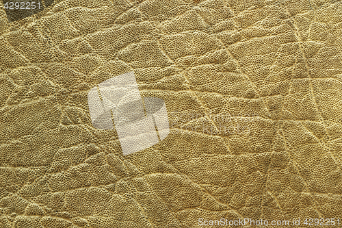 Image of detailed elephant pelt texture