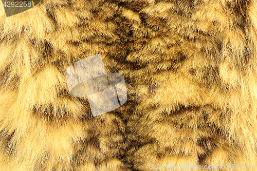 Image of snow leopard textured pelt