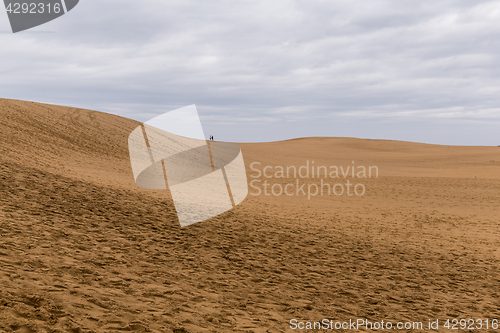 Image of Tottori Dunes in Japan