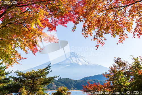 Image of Mt.Fuji in autumn