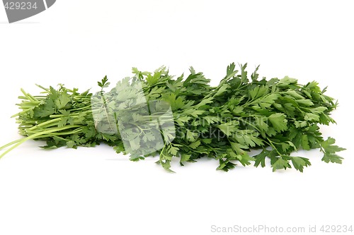 Image of parsley