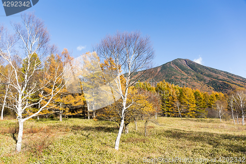 Image of Mount Nantai in Nikko of Japan