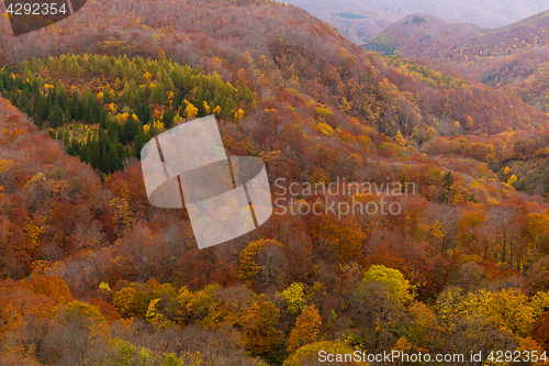 Image of Beautiful landscape in autumn