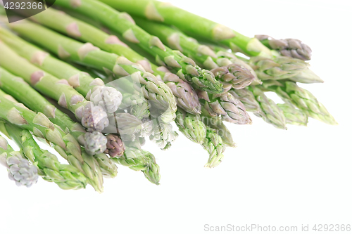 Image of Bunch of asparagus isolated on white background
