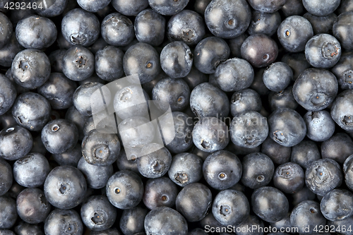 Image of Background made of blueberries